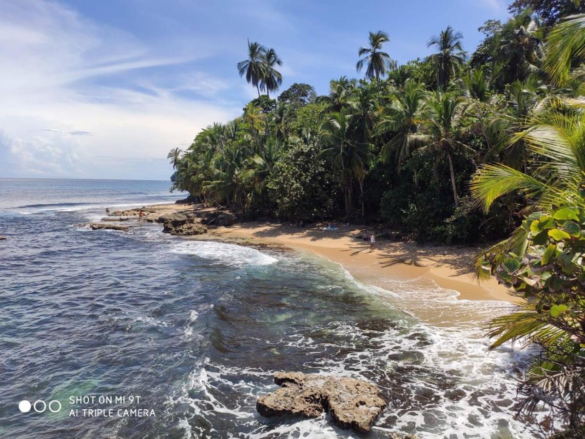 Madre Selva Hostel Puerto Viejo de Talamanca Екстер'єр фото