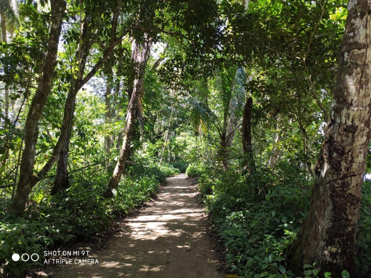 Madre Selva Hostel Puerto Viejo de Talamanca Екстер'єр фото