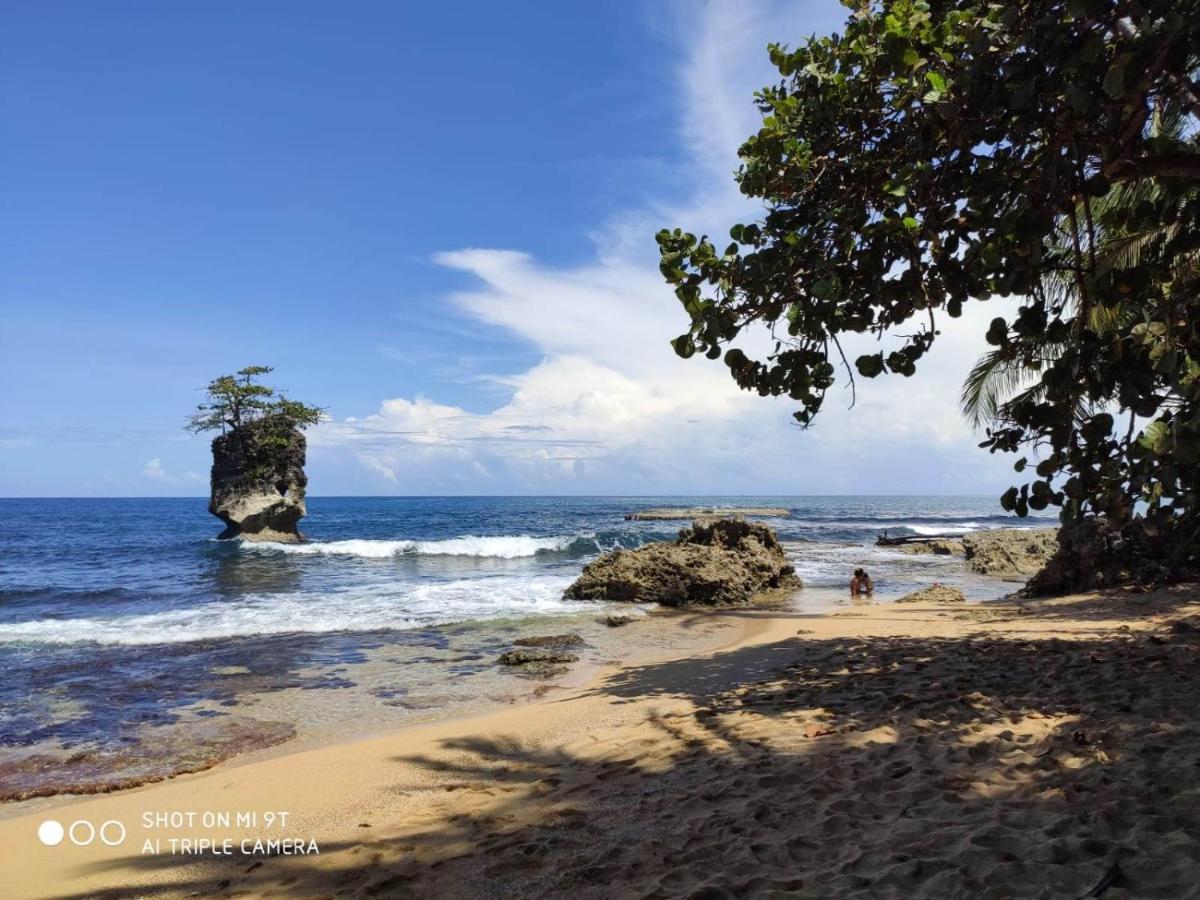 Madre Selva Hostel Puerto Viejo de Talamanca Екстер'єр фото