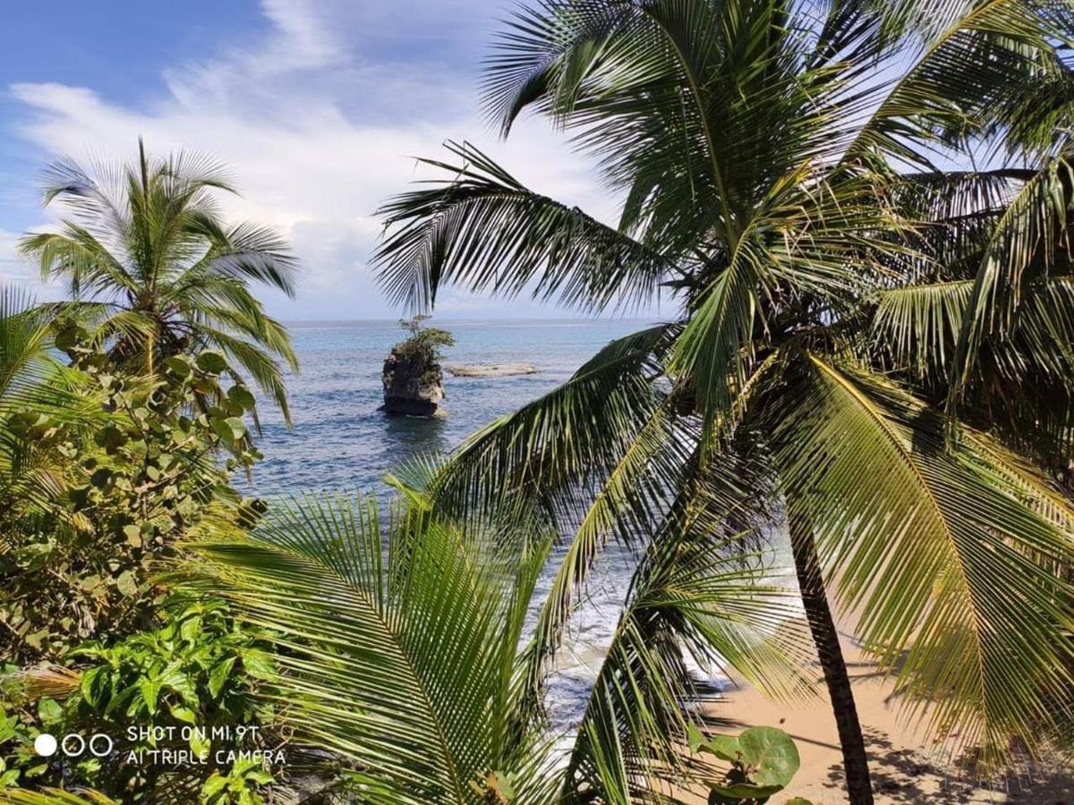 Madre Selva Hostel Puerto Viejo de Talamanca Екстер'єр фото