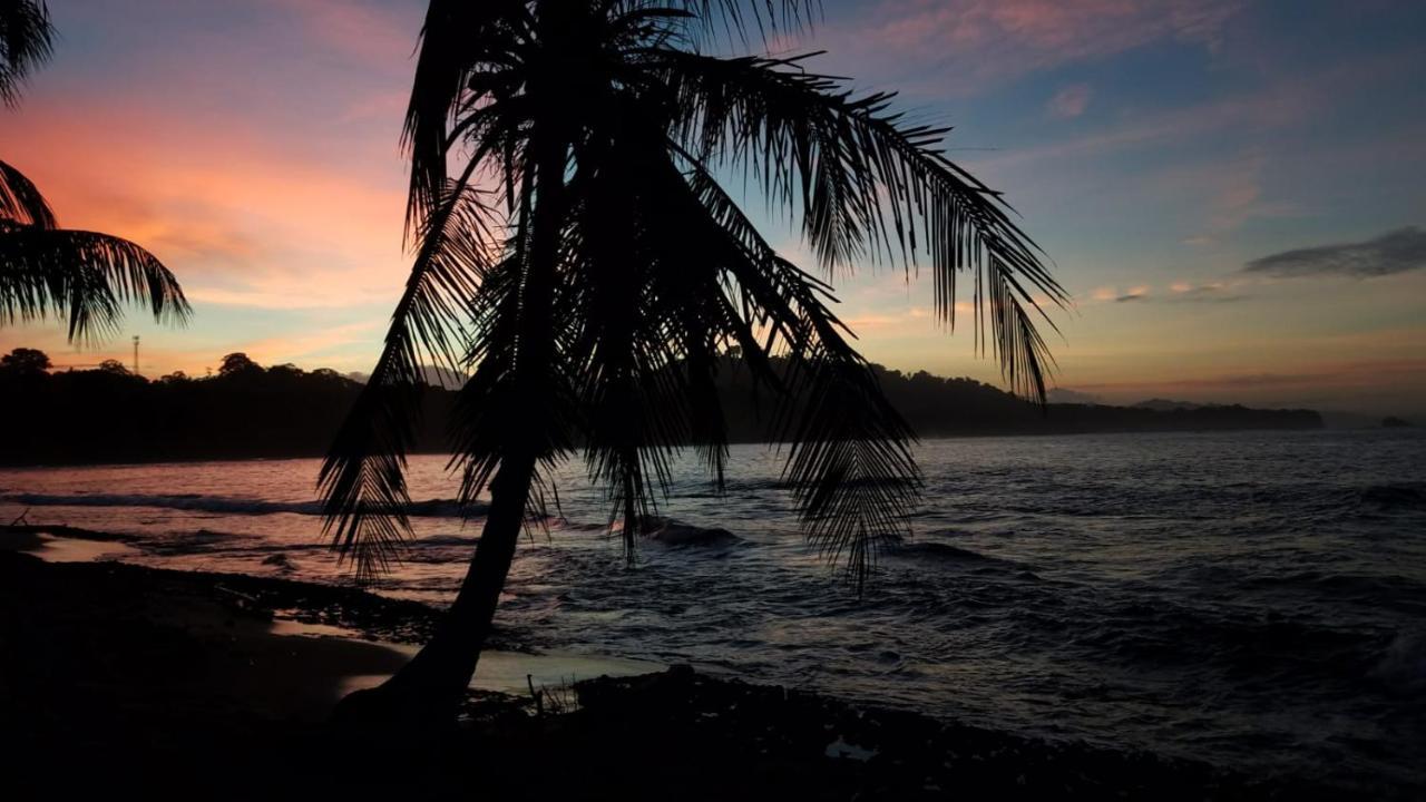 Madre Selva Hostel Puerto Viejo de Talamanca Екстер'єр фото