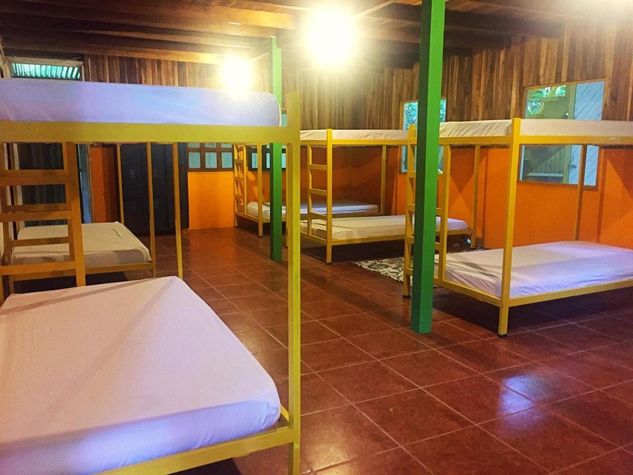 Madre Selva Hostel Puerto Viejo de Talamanca Екстер'єр фото