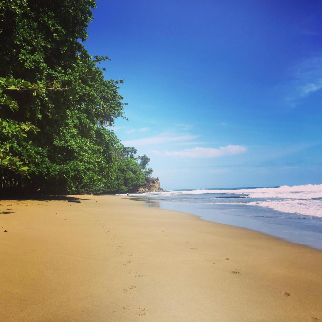 Madre Selva Hostel Puerto Viejo de Talamanca Екстер'єр фото