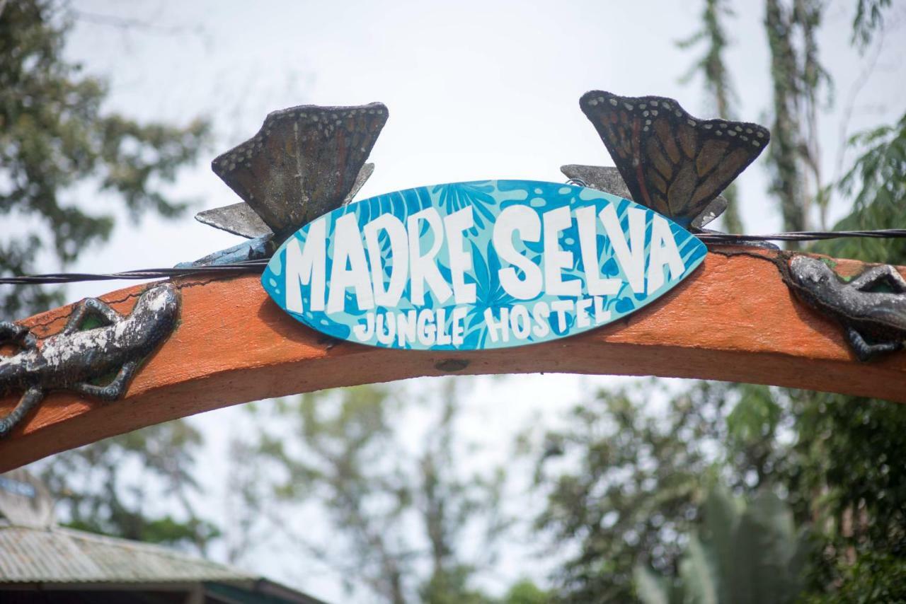 Madre Selva Hostel Puerto Viejo de Talamanca Екстер'єр фото