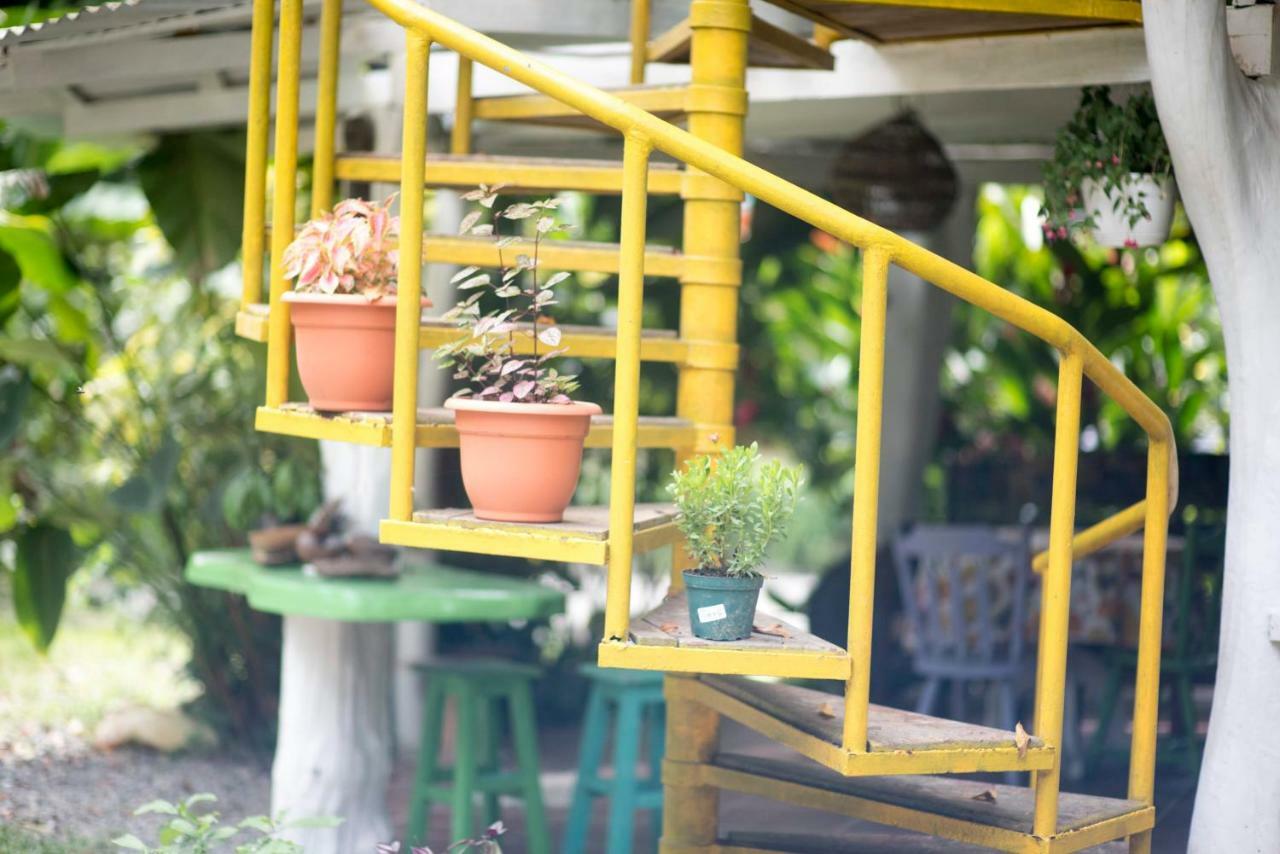 Madre Selva Hostel Puerto Viejo de Talamanca Екстер'єр фото