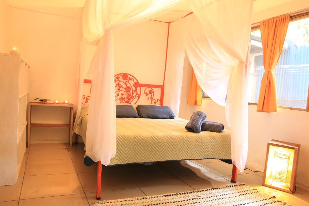 Madre Selva Hostel Puerto Viejo de Talamanca Екстер'єр фото